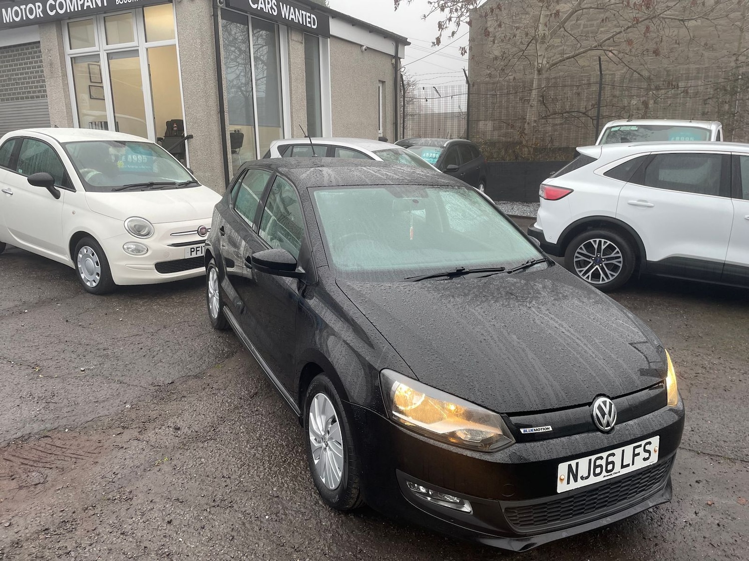Used Volkswagen Polo 2016 for sale - 76523418: Photo 1