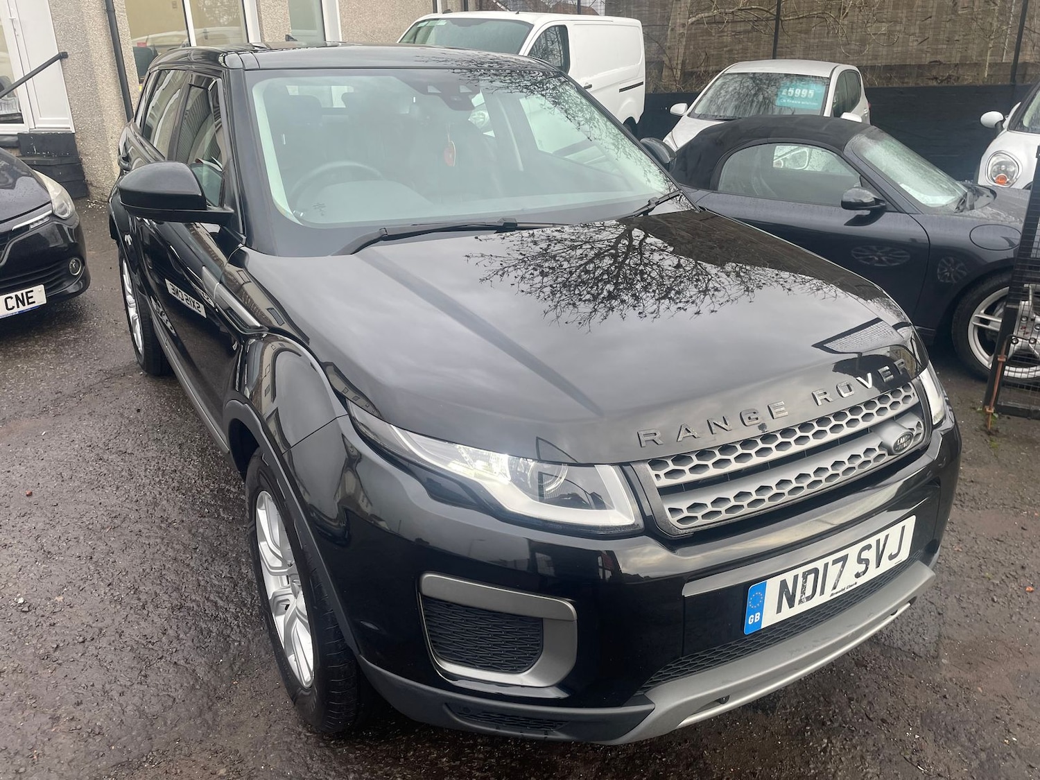 Used Land Rover Range Rover Evoque 2017 for sale - 76978024: Photo 1
