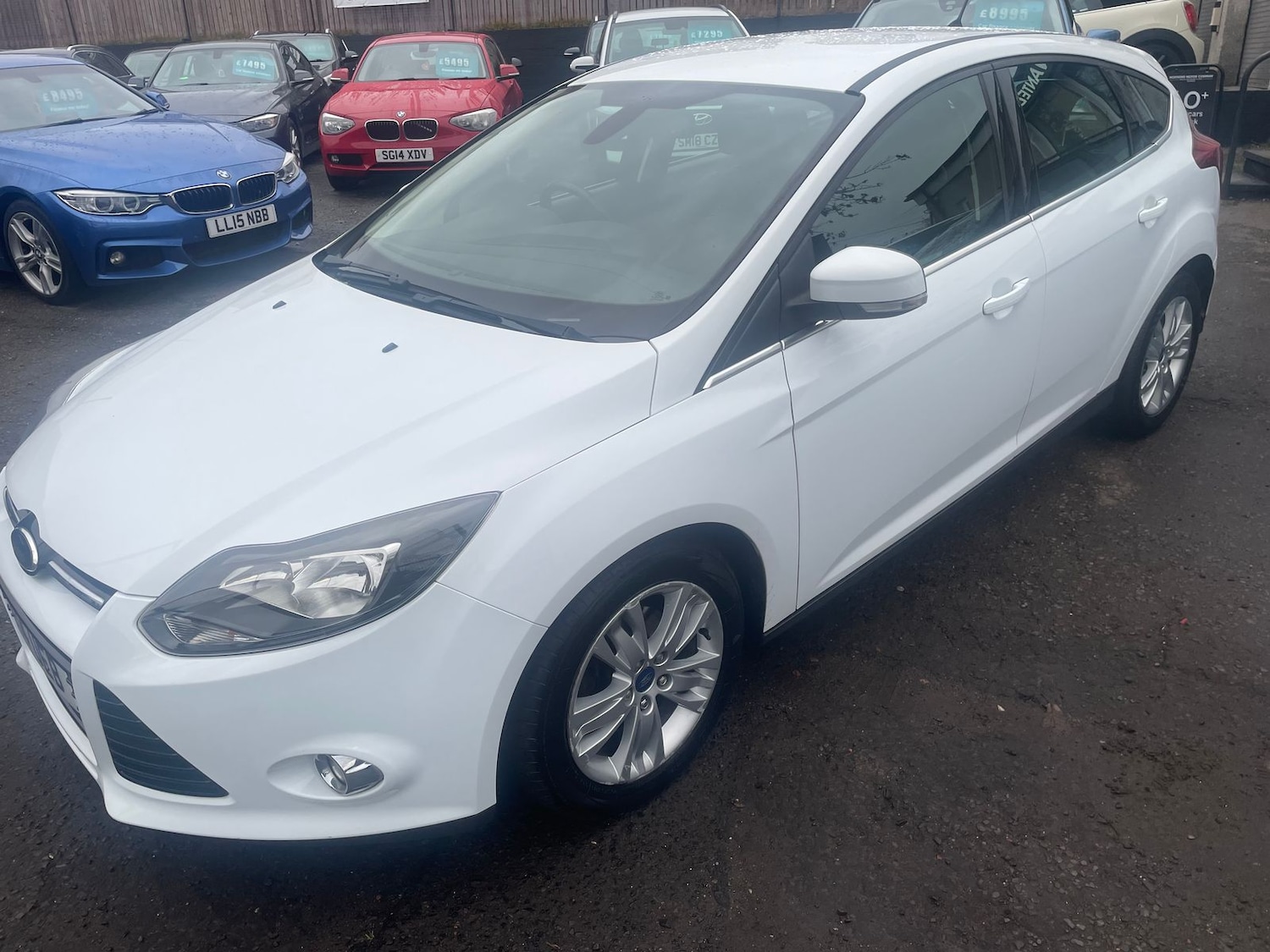 Used Ford Focus 2014 for sale - 77196771: Photo 9