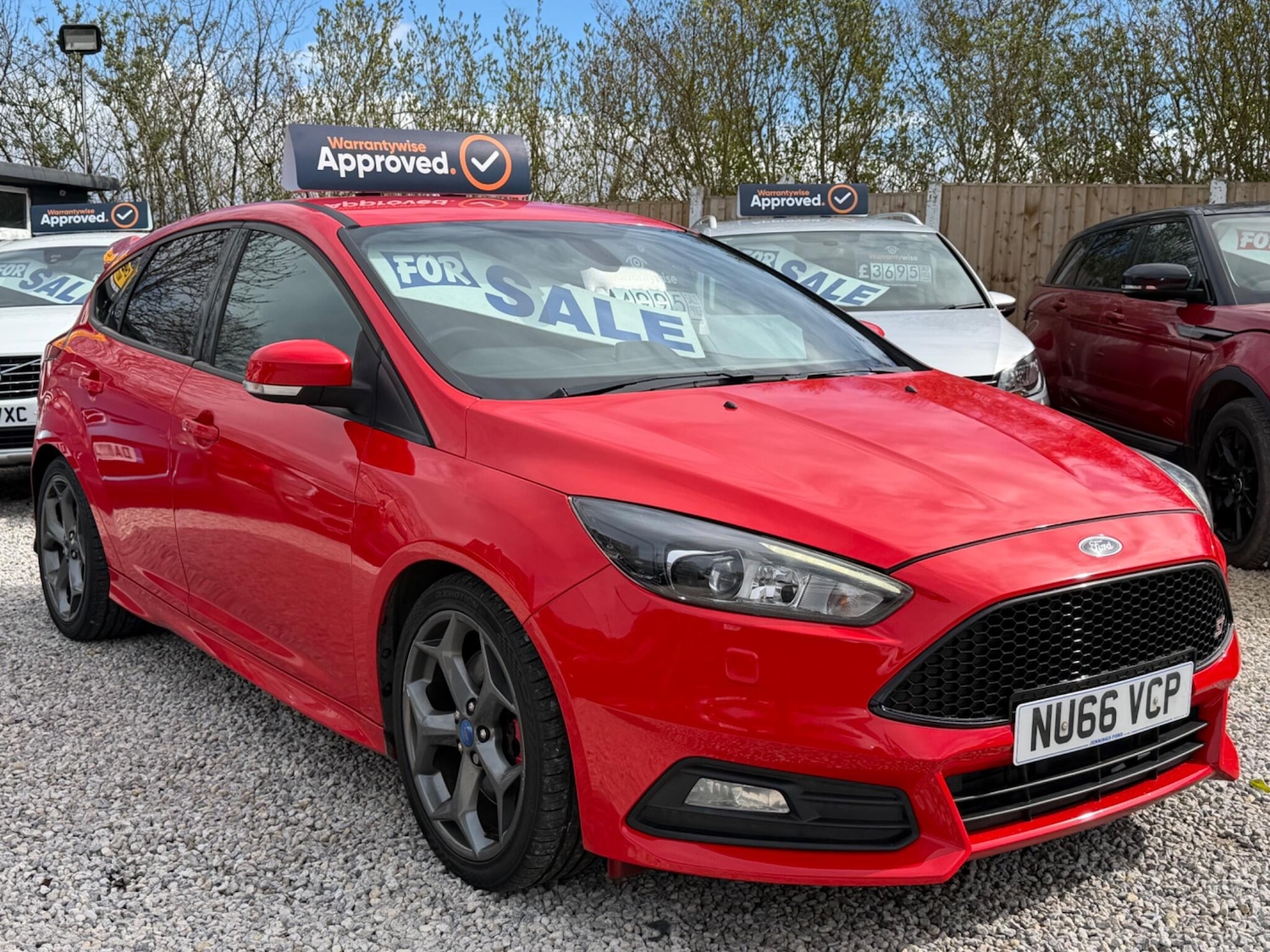 Used Ford Focus for sale - 78205152: Photo 5