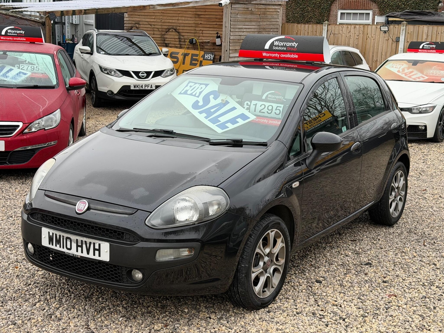 Used Fiat Punto Evo 2010 for sale - 77190801: Photo 3