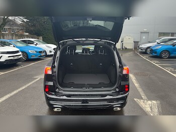 Used Ford Kuga 2023 for sale - 77406812: Photo