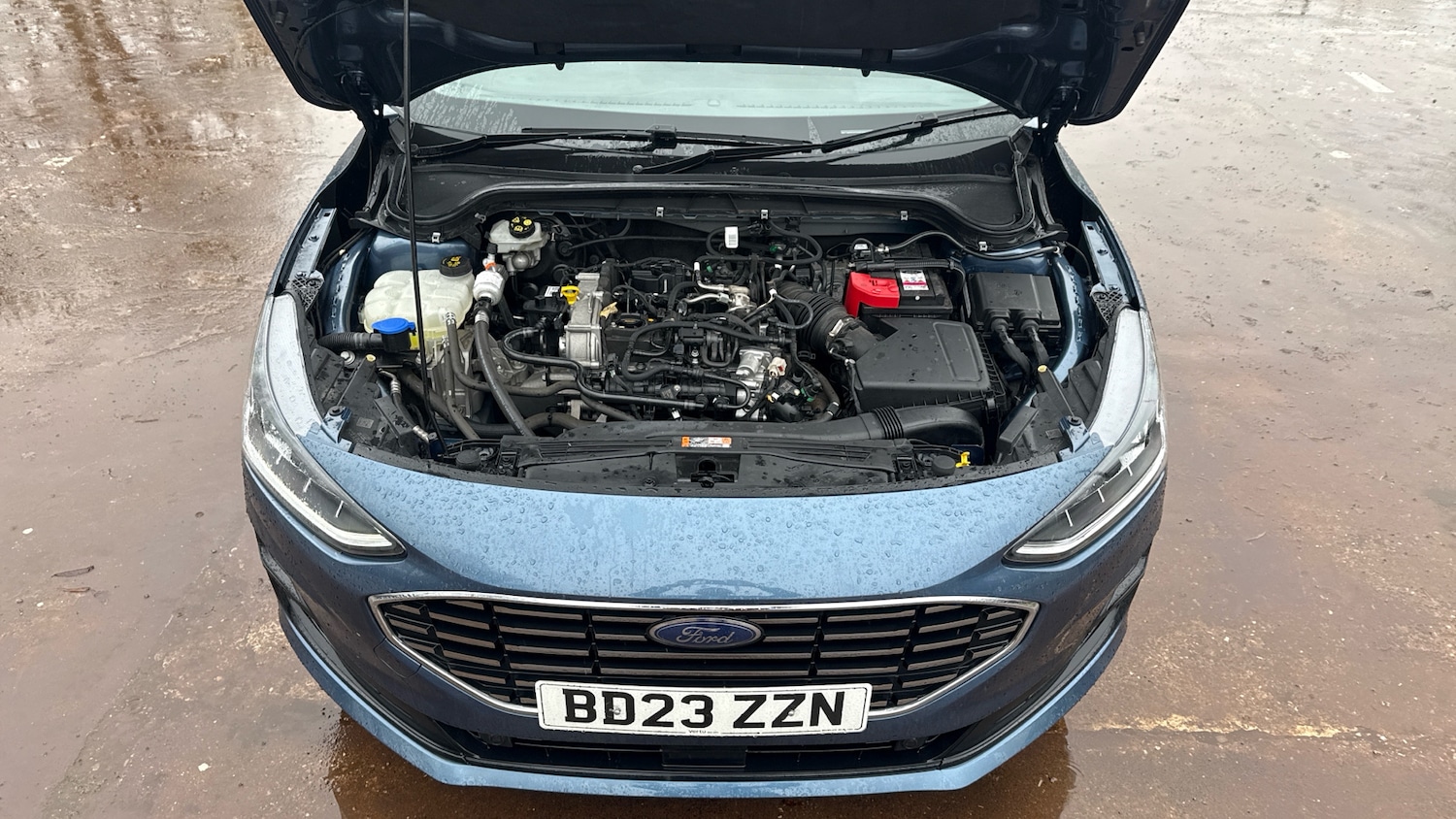 Used Ford Focus 2023 for sale - 77475506: Photo 8