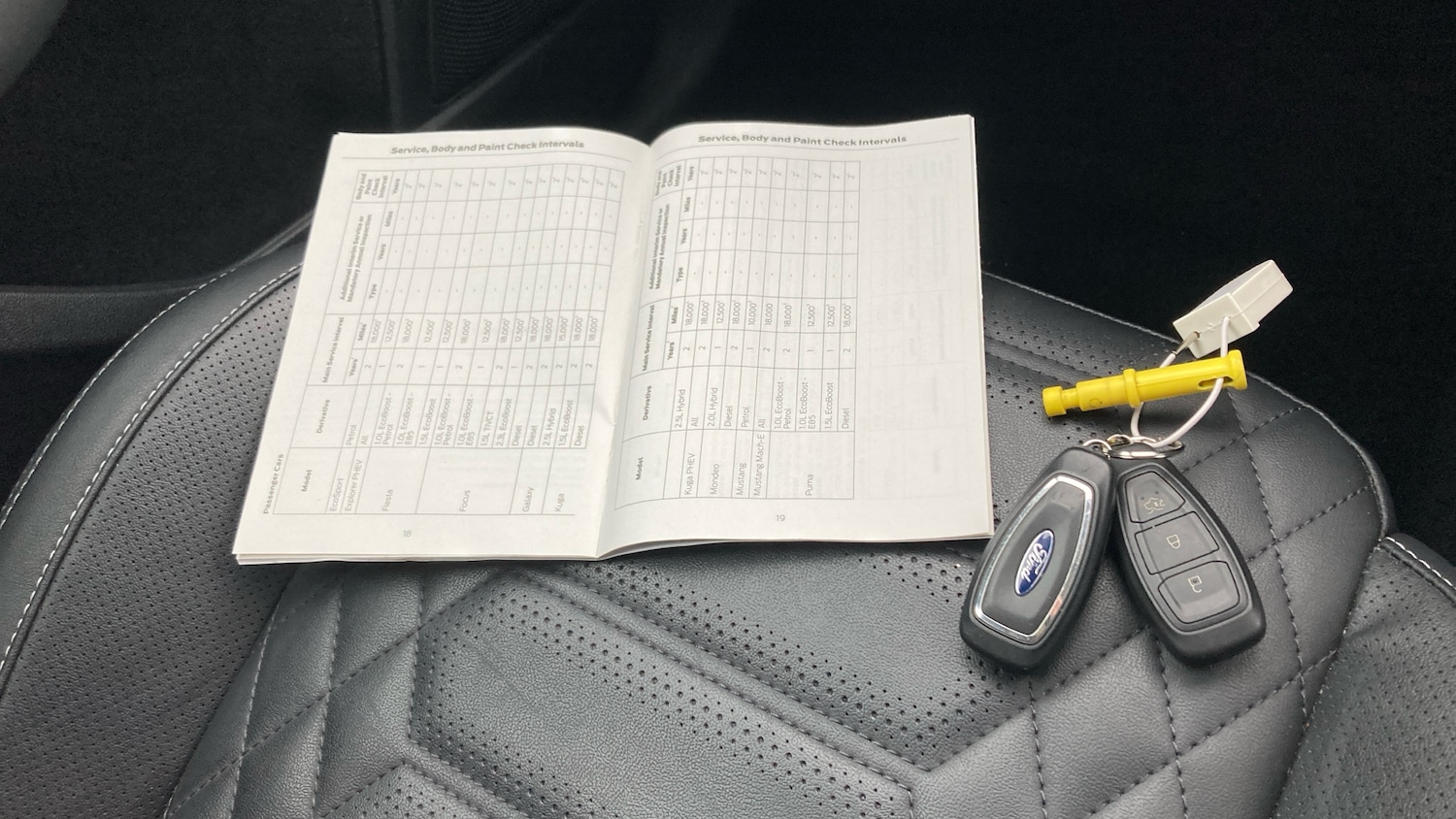 Used Ford Focus 2023 for sale - 77033368: Photo 19