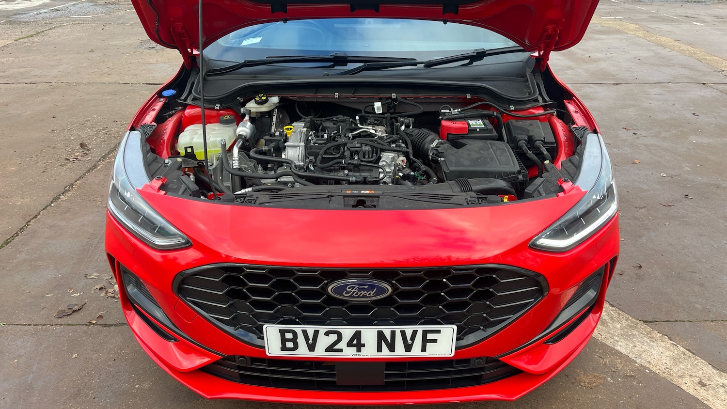 Used Ford Focus 2024 for sale - 77054688: Photo 8