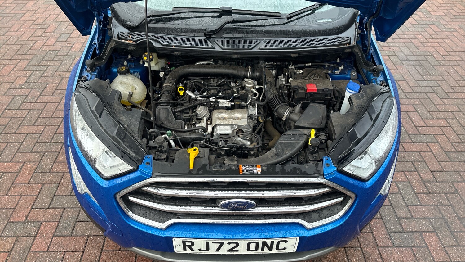 Used Ford Ecosport 2022 for sale - 77962181: Photo 8