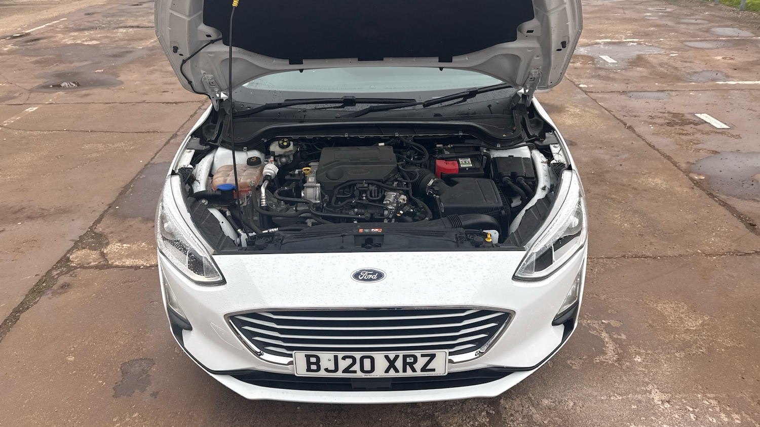 Used Ford Focus 2020 for sale - 77791472: Photo 8