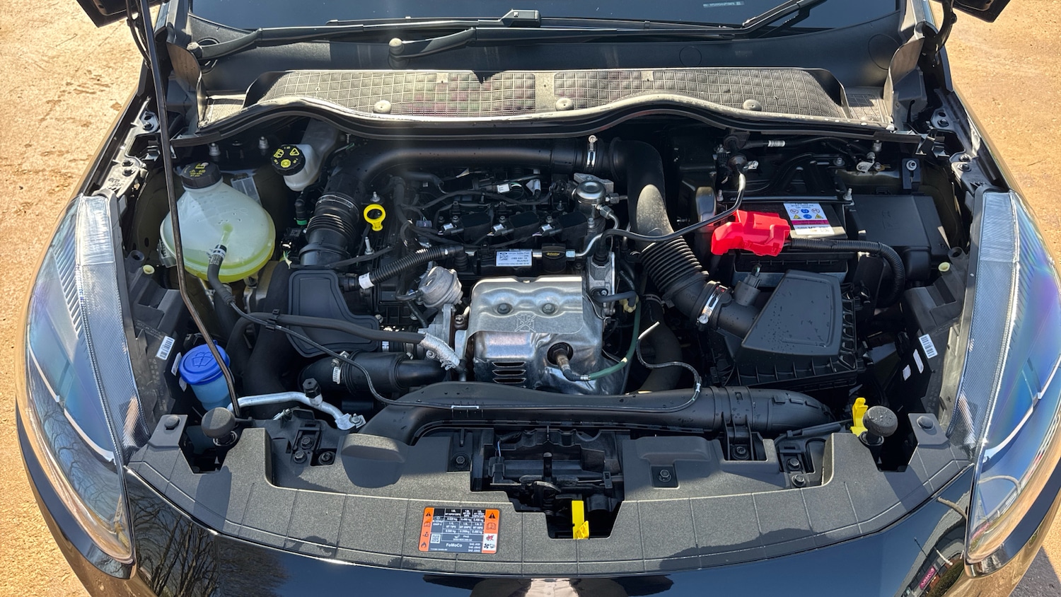 Used Ford Fiesta 2024 for sale - 77946989: Photo 8