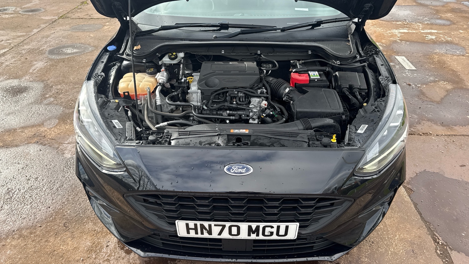 Used Ford Focus 2020 for sale - 77662439: Photo 8