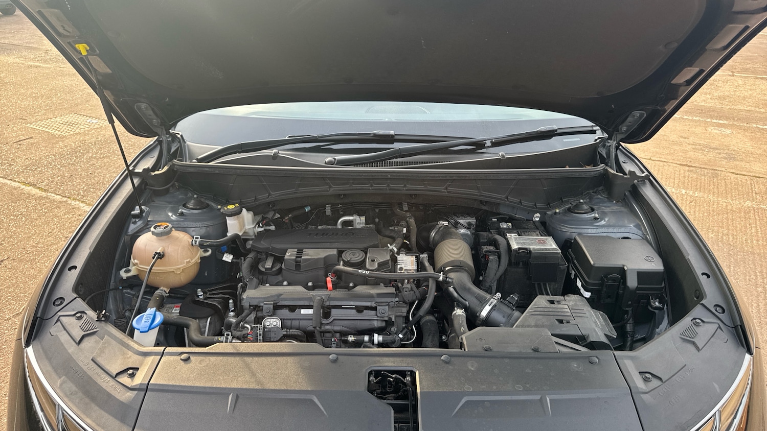 Used Hyundai TUCSON 2023 for sale - 77983567: Photo 8