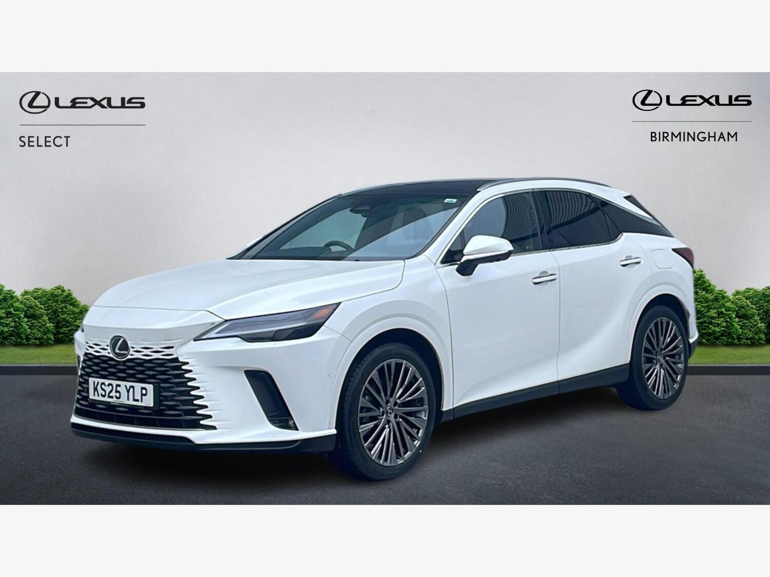 Used Lexus RX 2025 for sale - 77440789: Photo 19