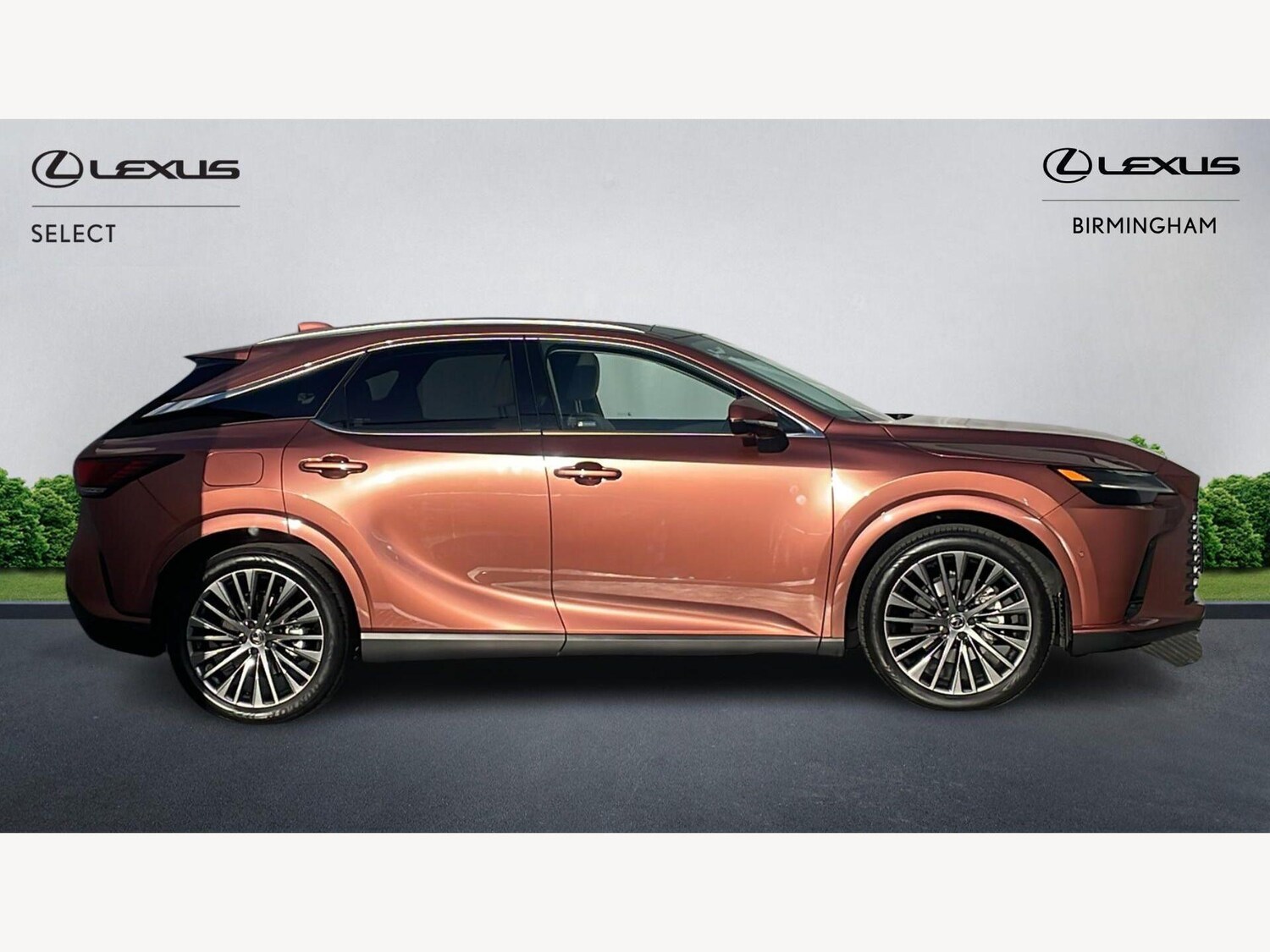 Used Lexus RX 2024 for sale - 77993360: Photo 18