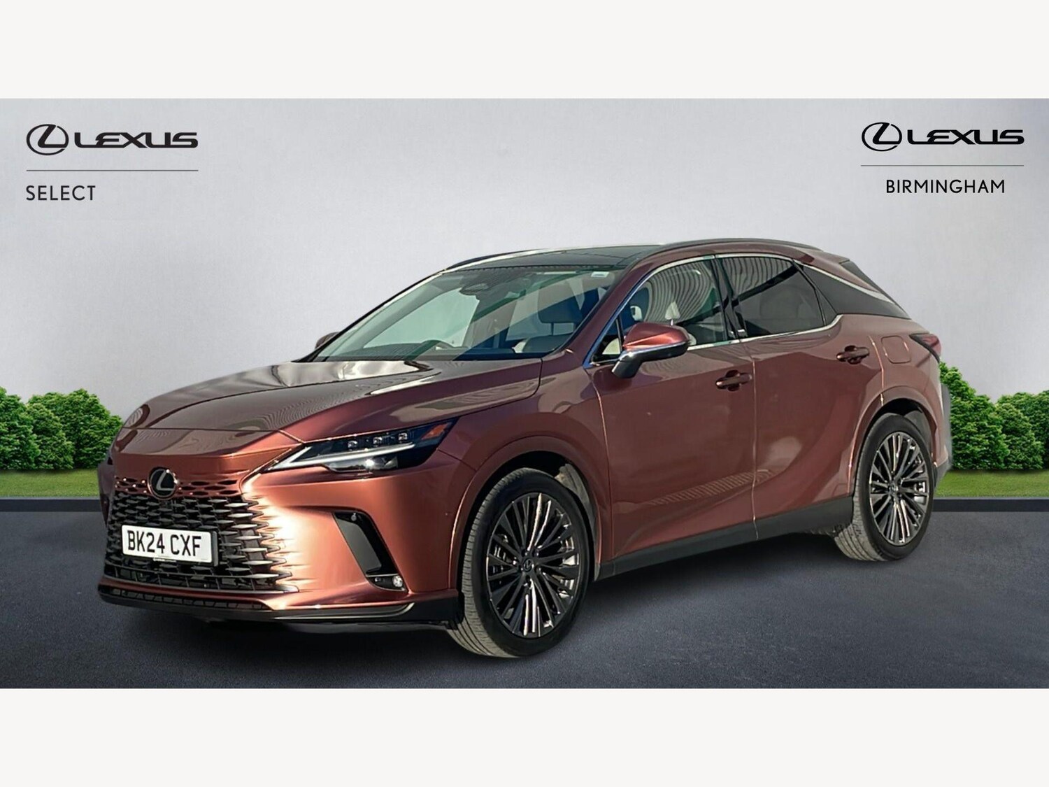 Used Lexus RX 2024 for sale - 77993360: Photo 19