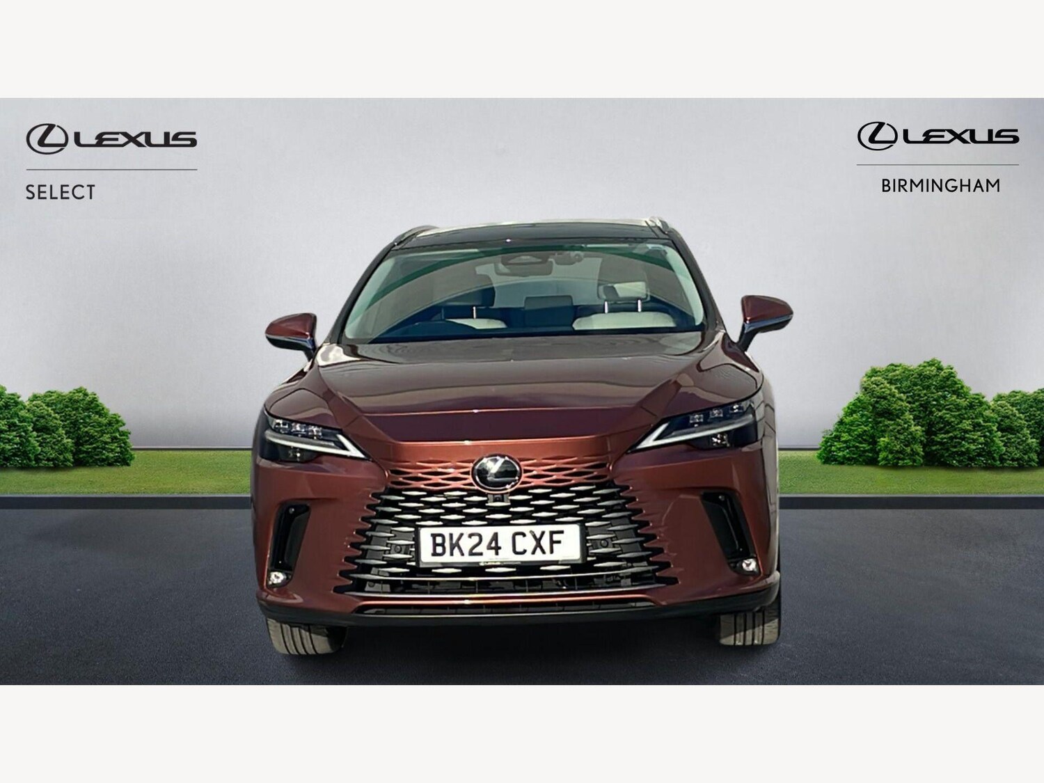 Used Lexus RX 2024 for sale - 77993360: Photo 6