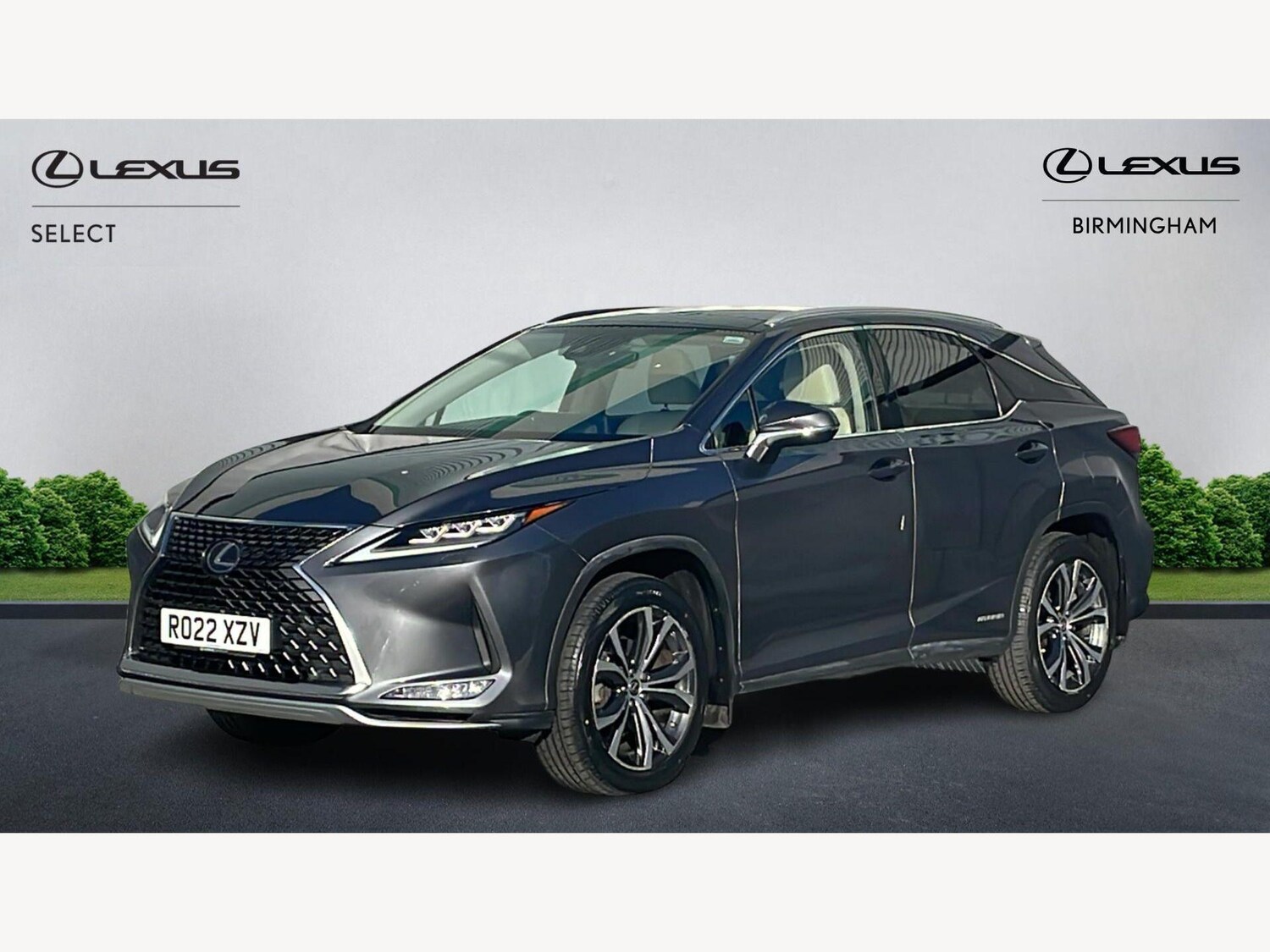 Used Lexus RX 2022 for sale - 77768054: Photo 19