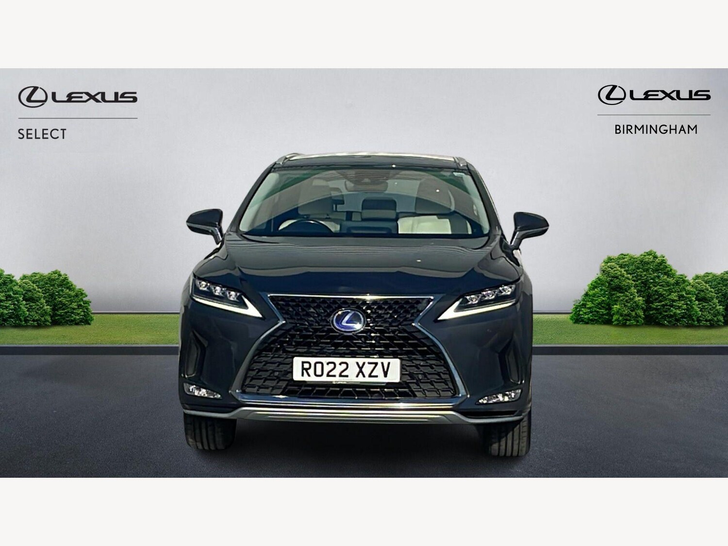 Used Lexus RX 2022 for sale - 77768054: Photo 6