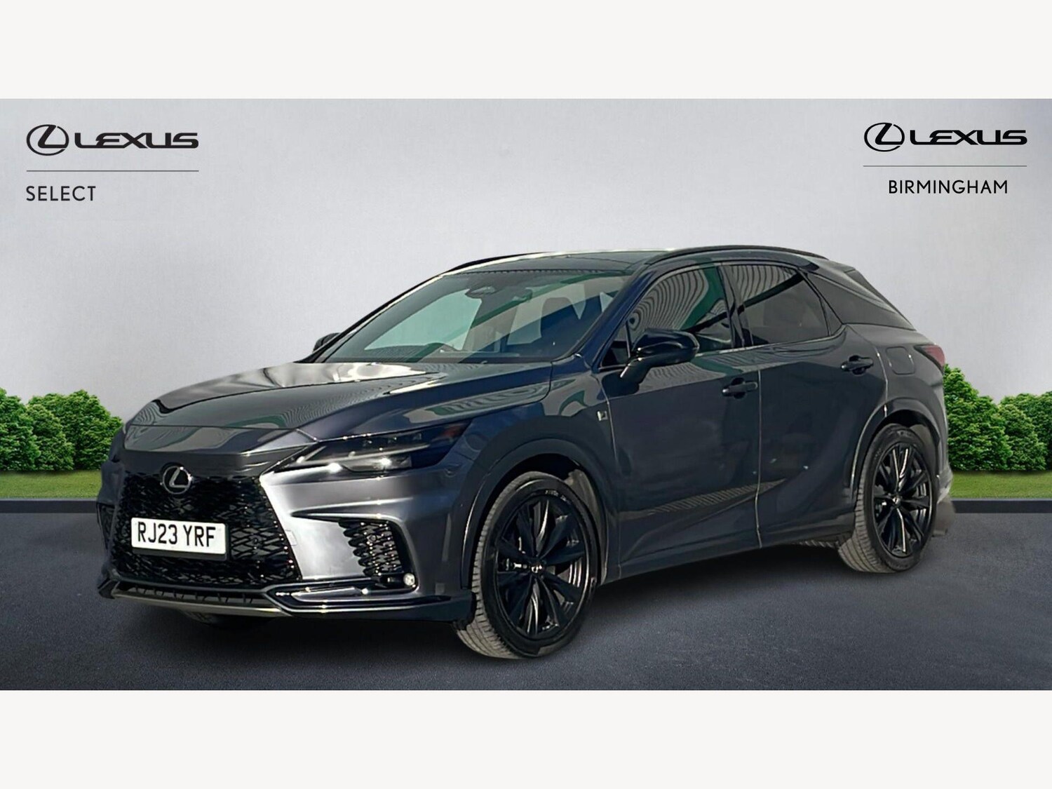 Used Lexus RX 2023 for sale - 77898417: Photo 19