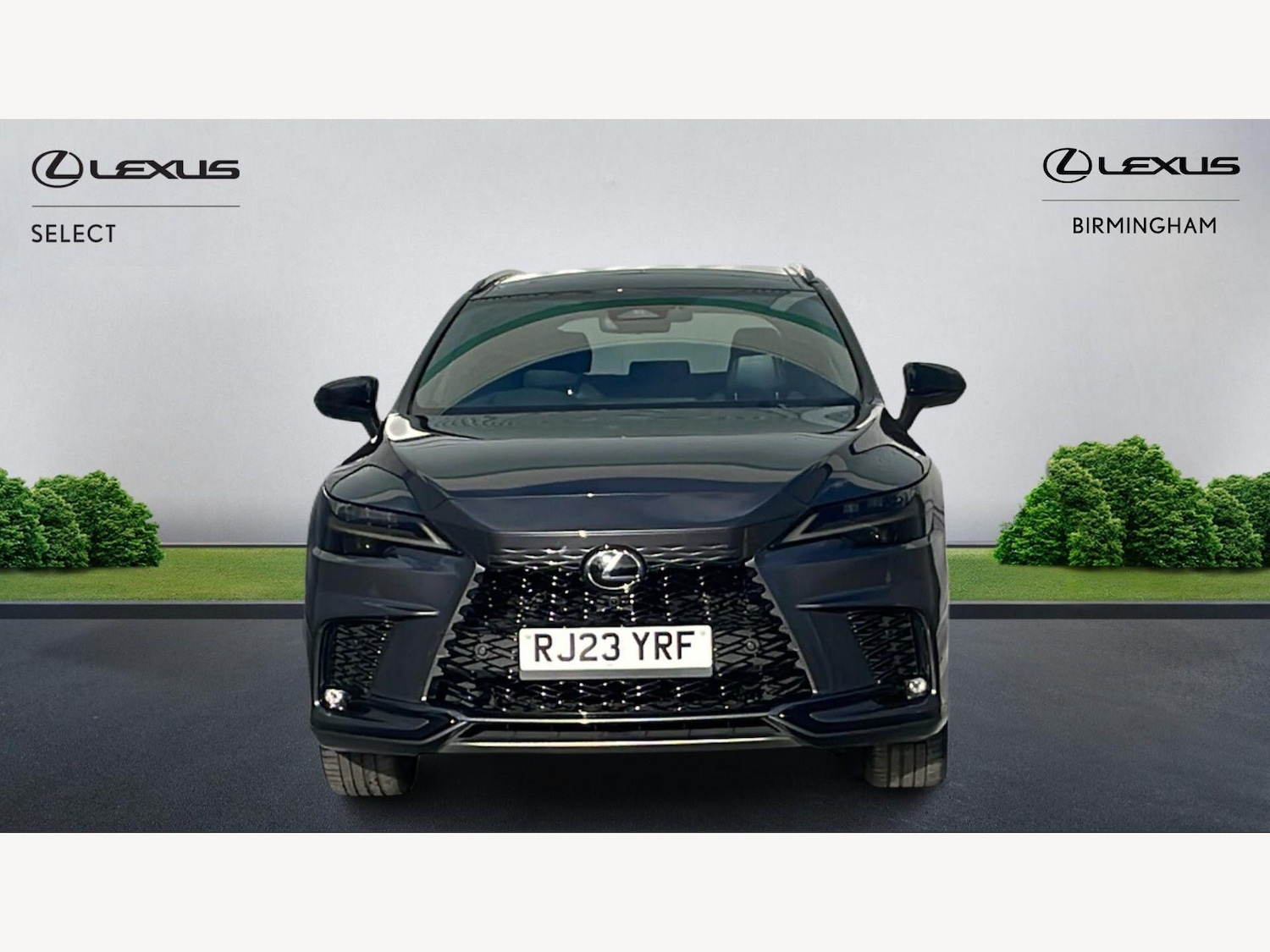 Used Lexus RX 2023 for sale - 77898417: Photo 6