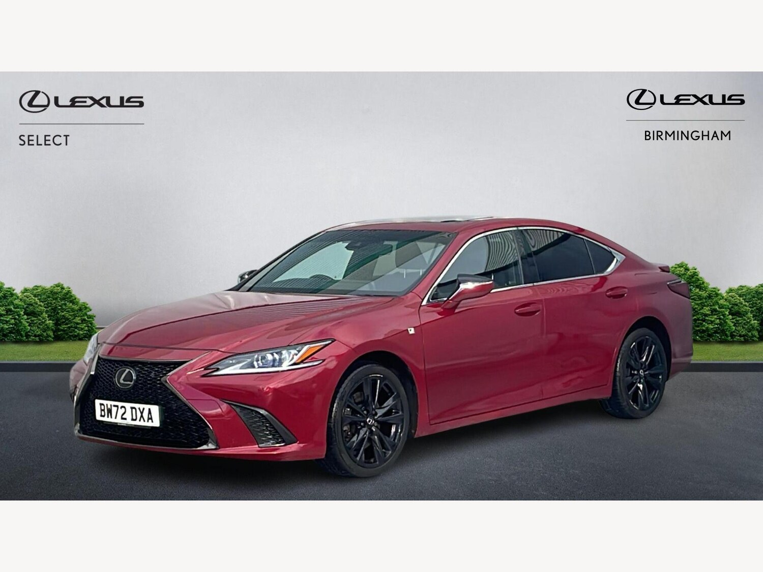 Used Lexus ES 2023 for sale - 77574355: Photo 19