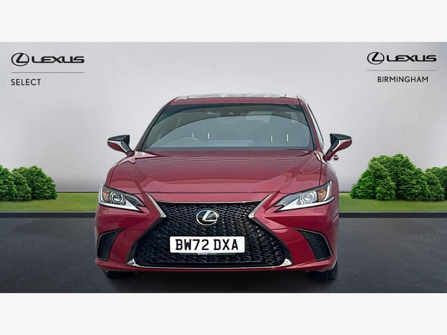 Used Lexus ES 2023 for sale - 77574355: Photo 6