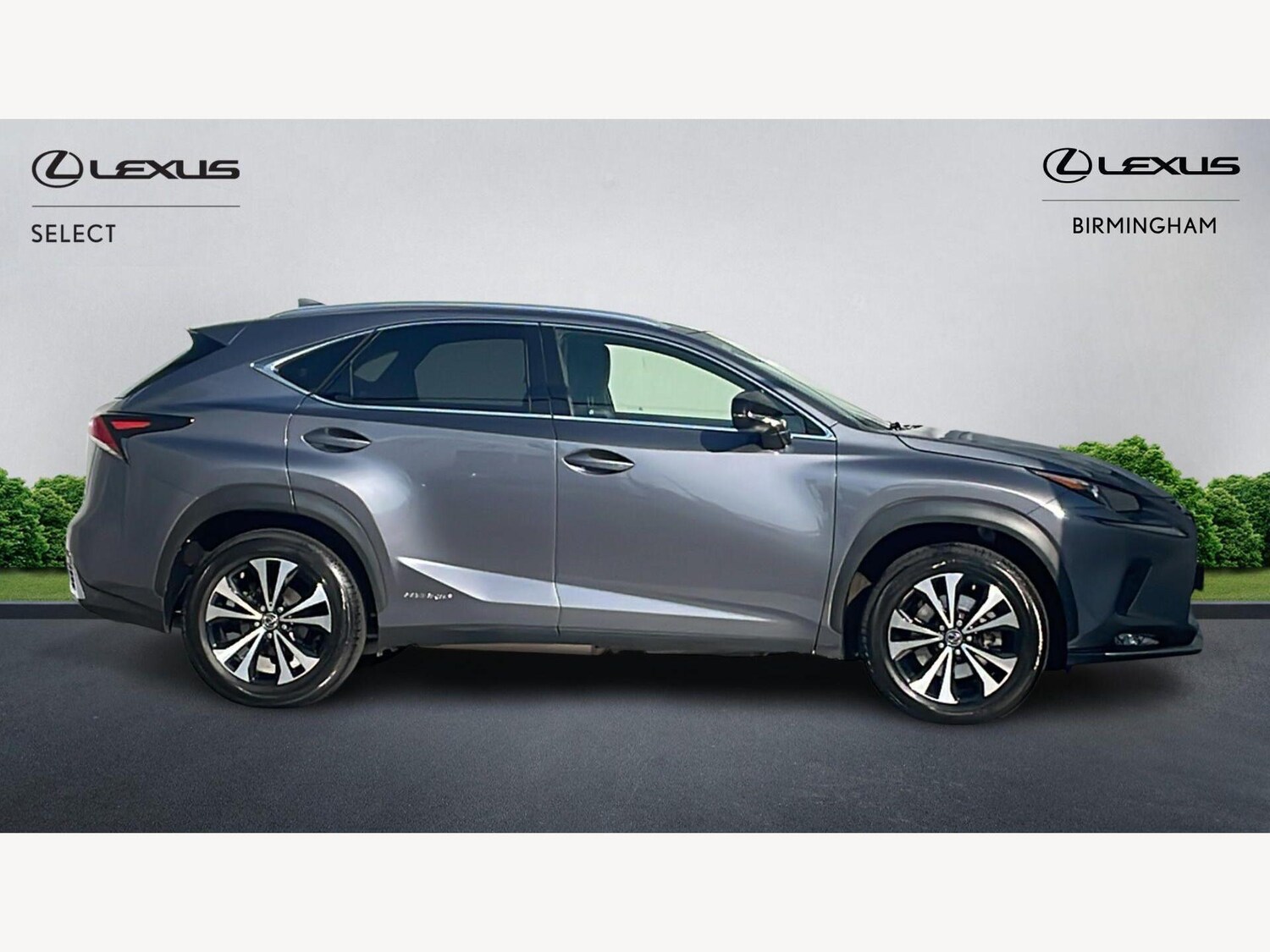Used Lexus NX for sale - 77768755: Photo 18