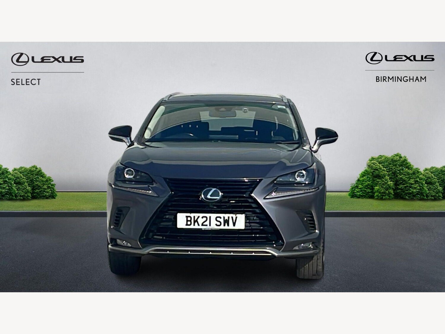 Used Lexus NX for sale - 77768755: Photo 6