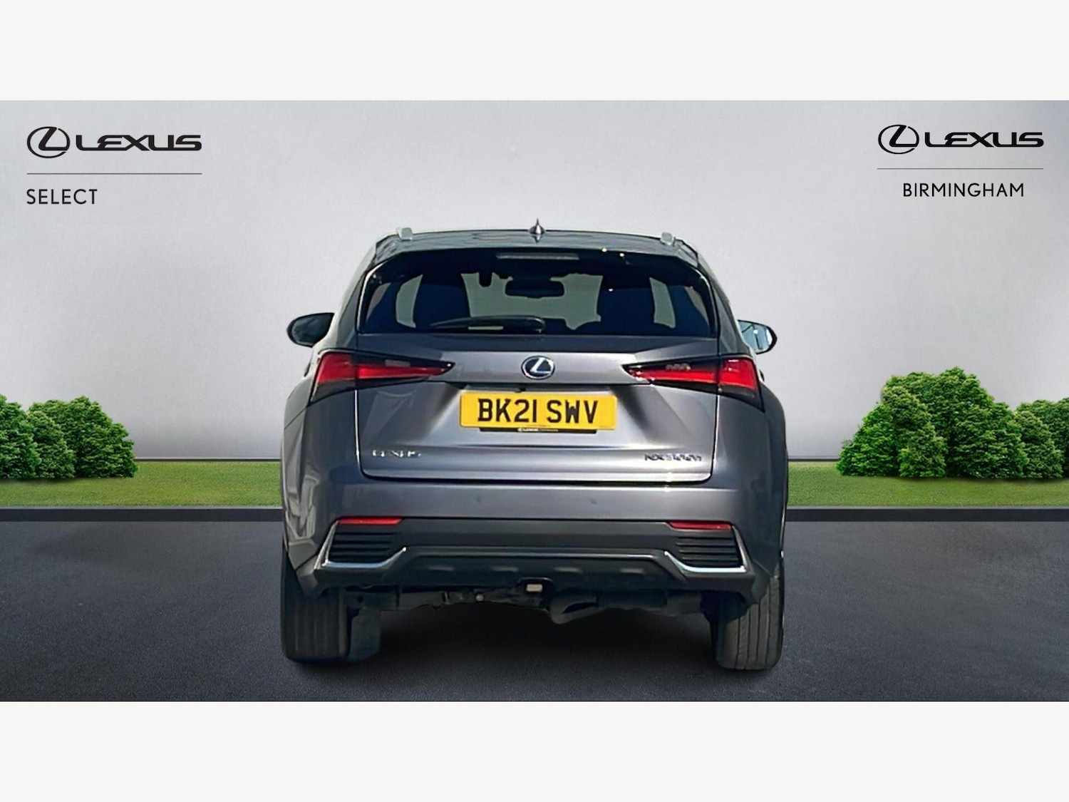 Used Lexus NX for sale - 77768755: Photo 7