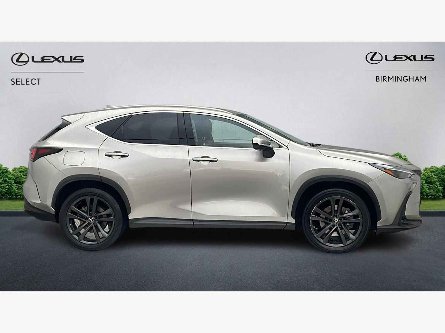 Used Lexus NX for sale - 77395655: Photo 18