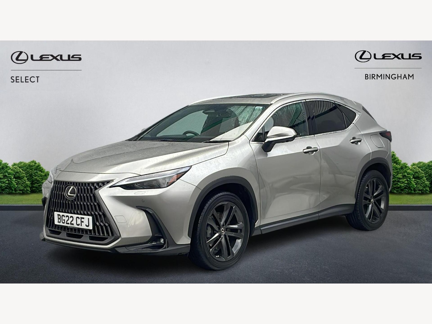 Used Lexus NX for sale - 77395655: Photo 19