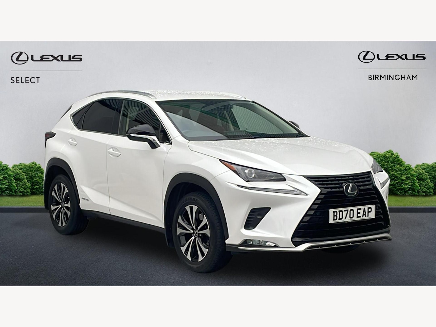 Used Lexus NX 2020 for sale - 76666662: Photo 1
