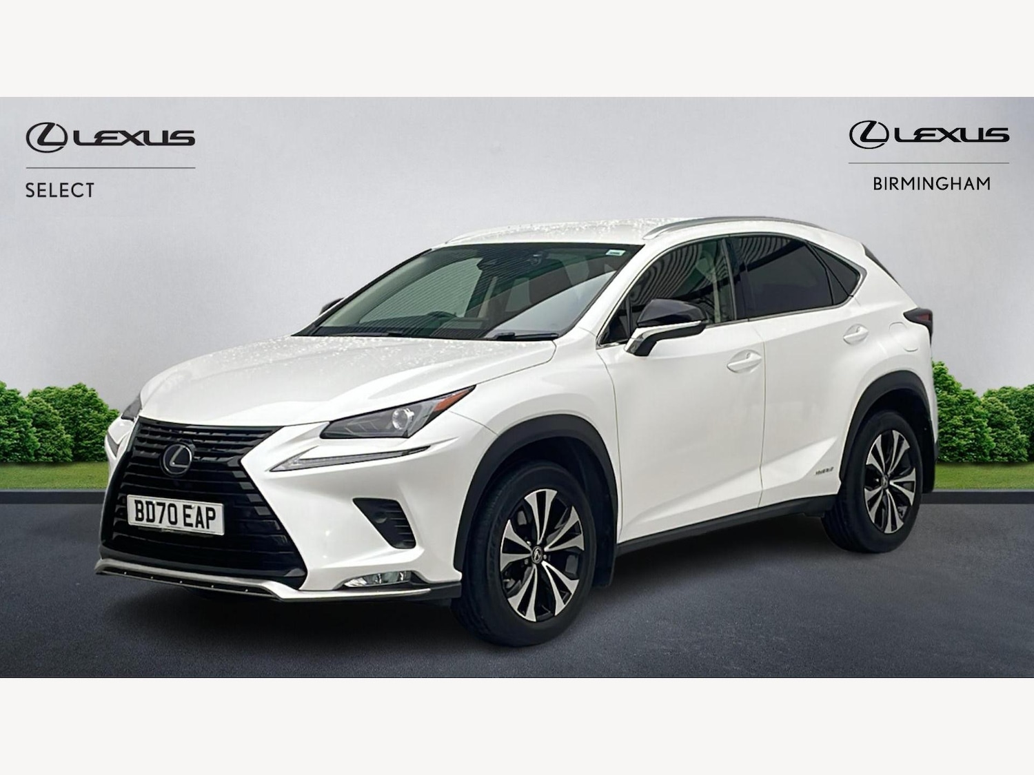 Used Lexus NX 2020 for sale - 76666662: Photo 19