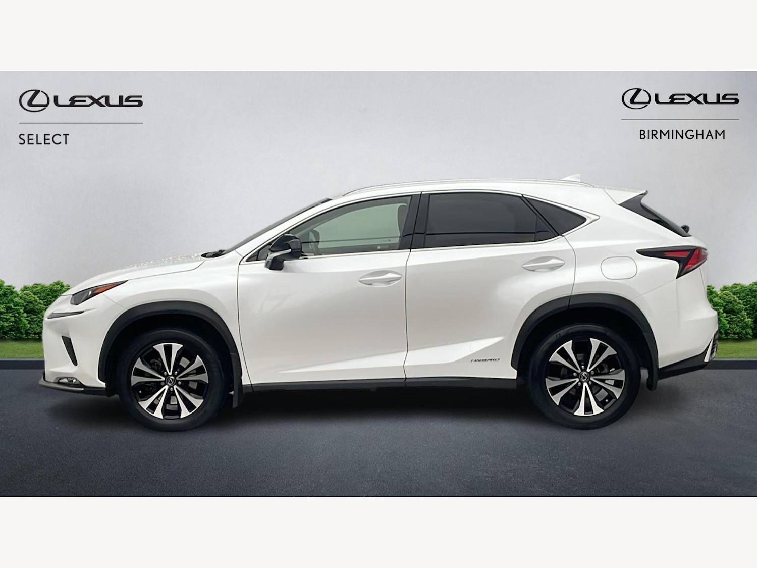 Used Lexus NX 2020 for sale - 76666662: Photo 3