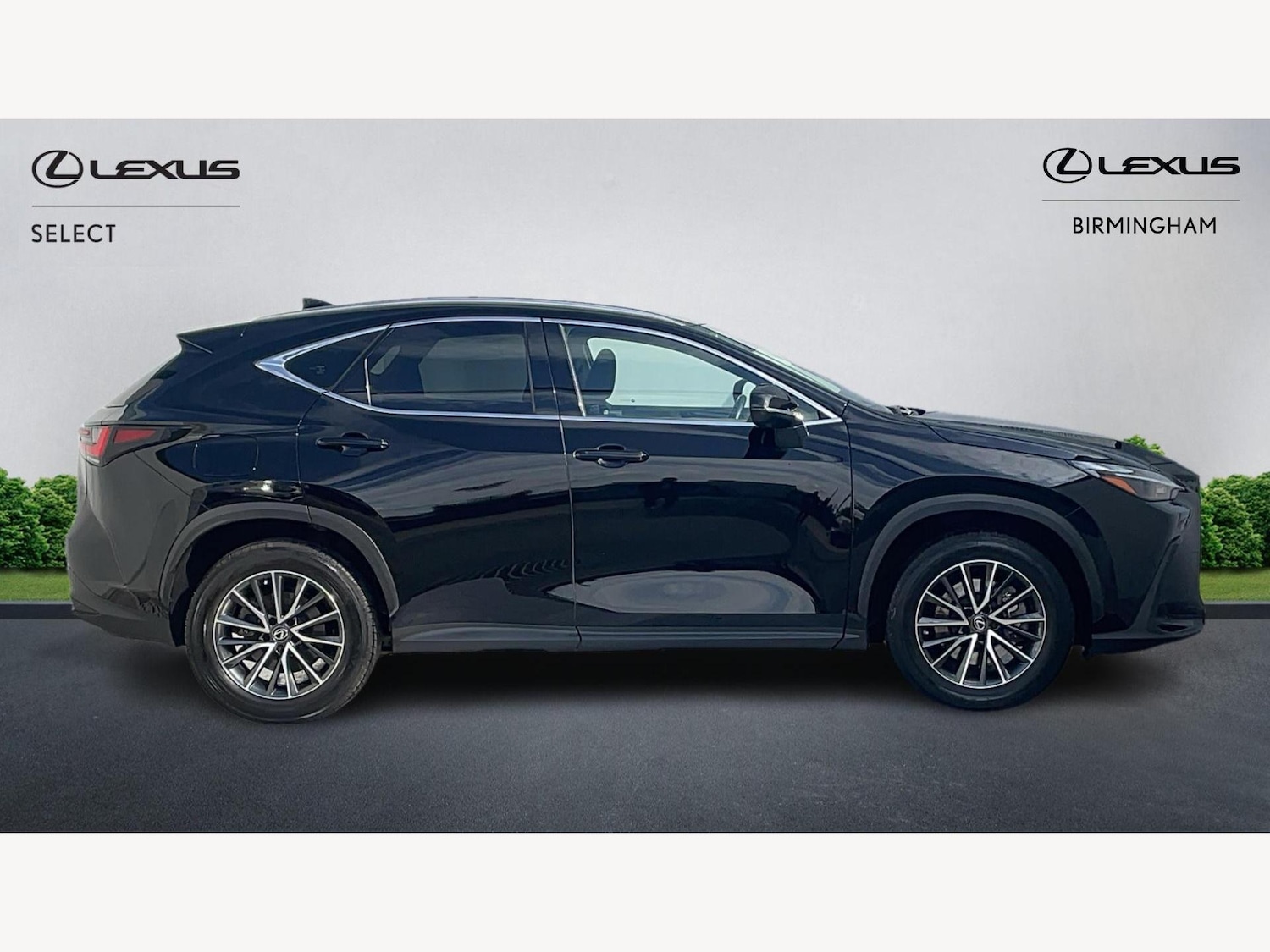 Used Lexus NX 2023 for sale - 76456903: Photo 18