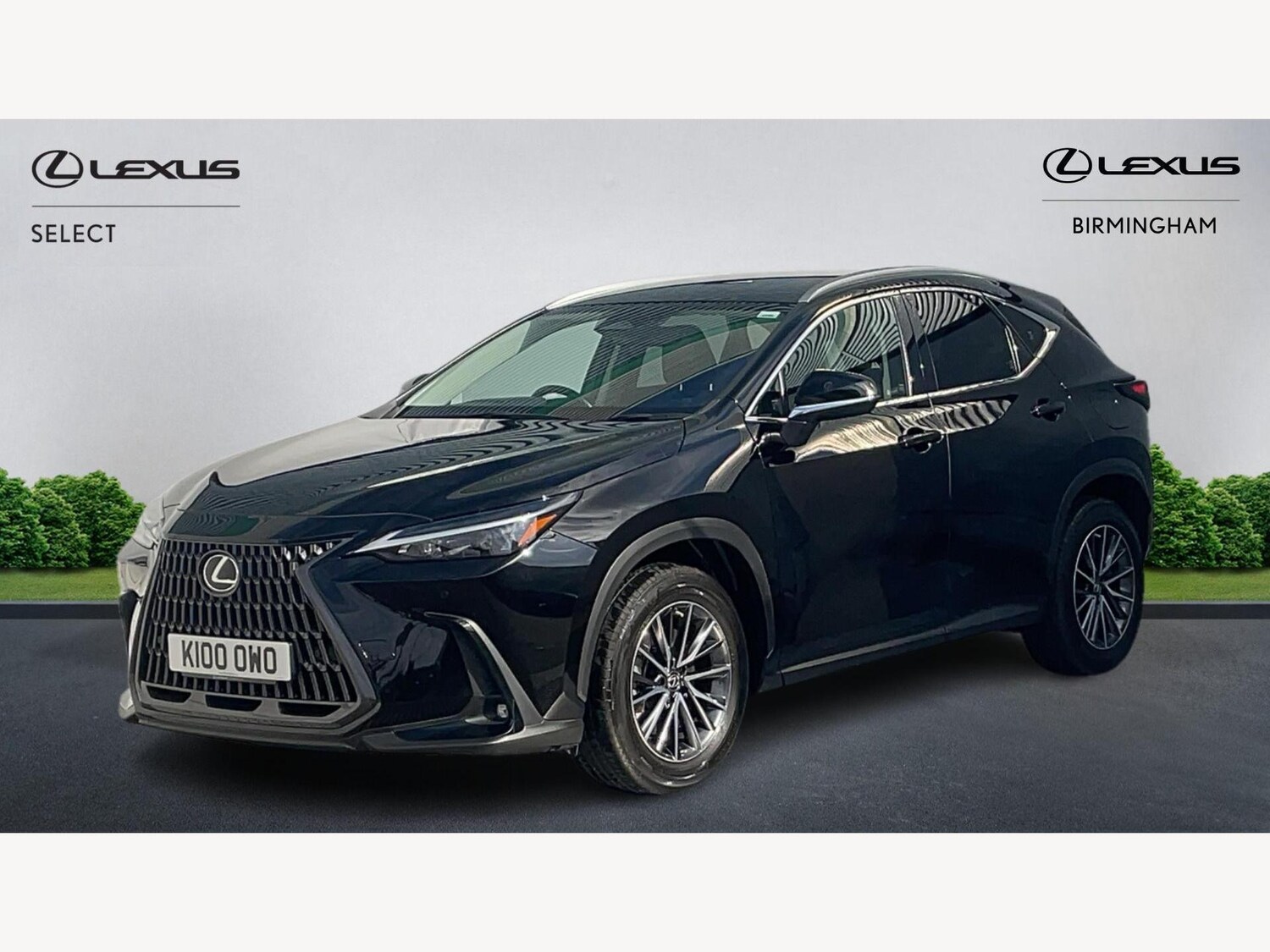 Used Lexus NX 2023 for sale - 76456903: Photo 19