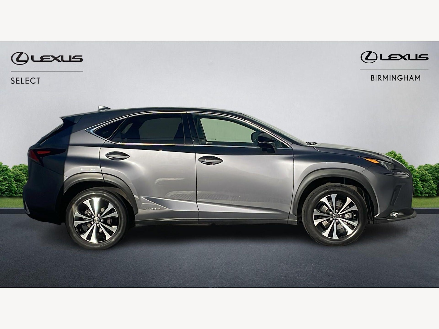 Used Lexus NX 2021 for sale - 77957157: Photo 18