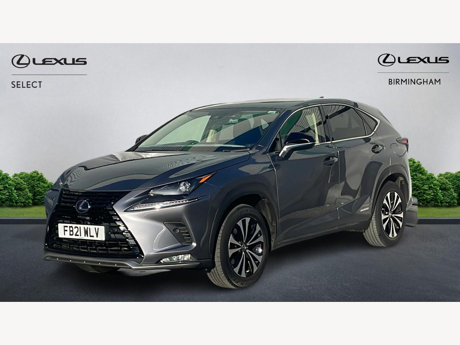 Used Lexus NX 2021 for sale - 77957157: Photo 19