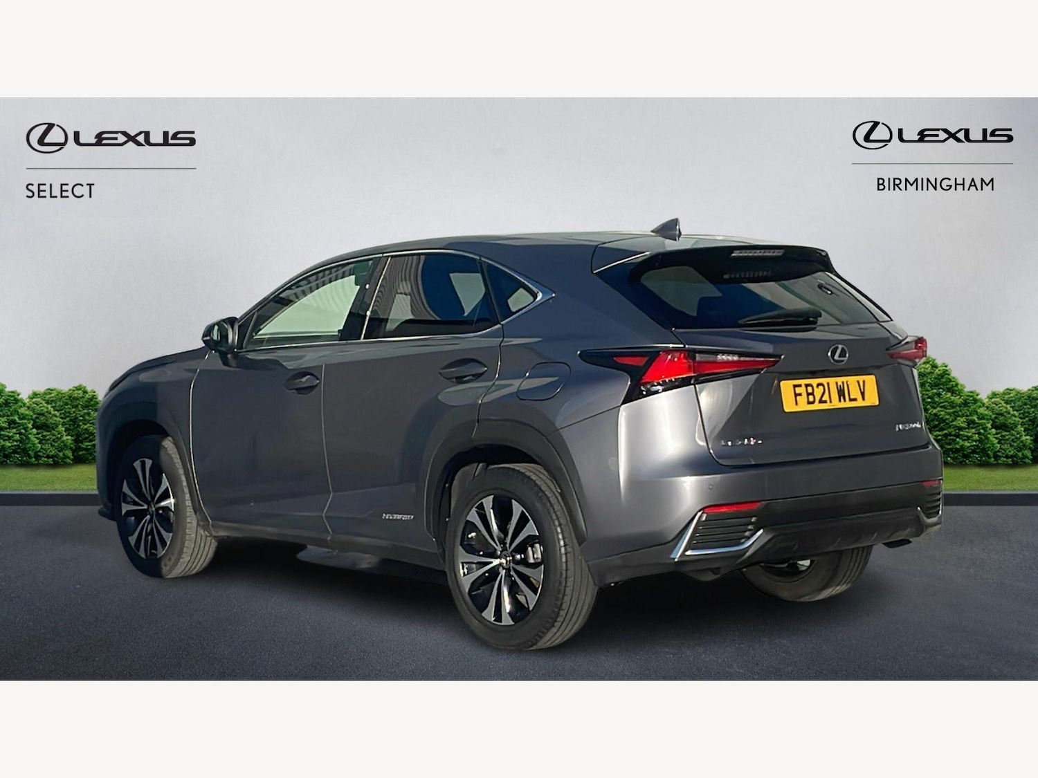 Used Lexus NX 2021 for sale - 77957157: Photo 2