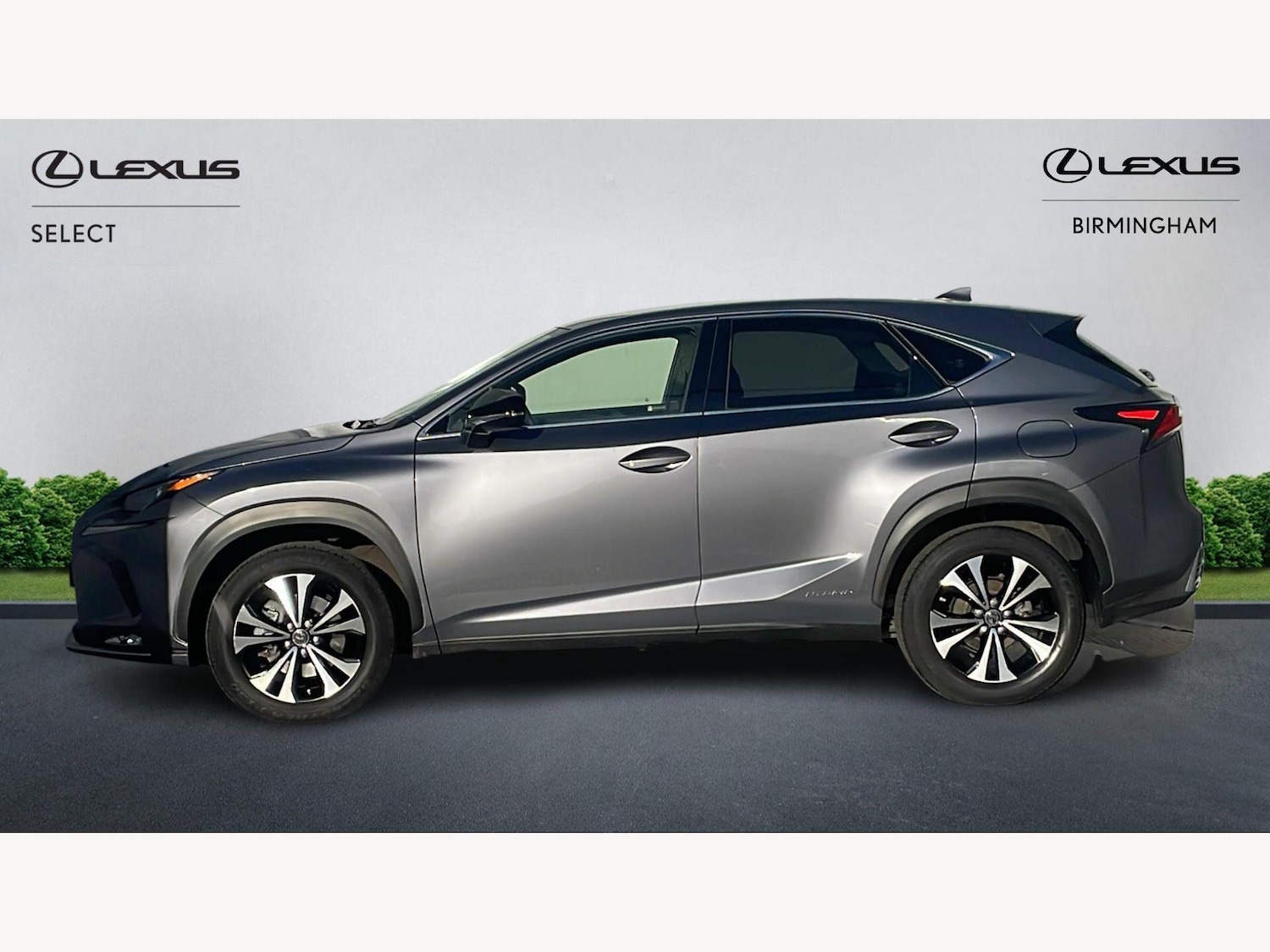 Used Lexus NX 2021 for sale - 77957157: Photo 3