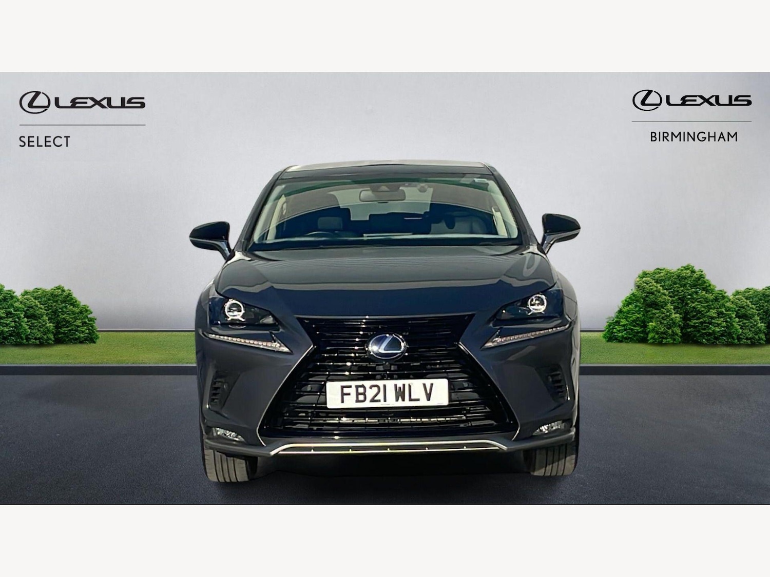 Used Lexus NX 2021 for sale - 77957157: Photo 6