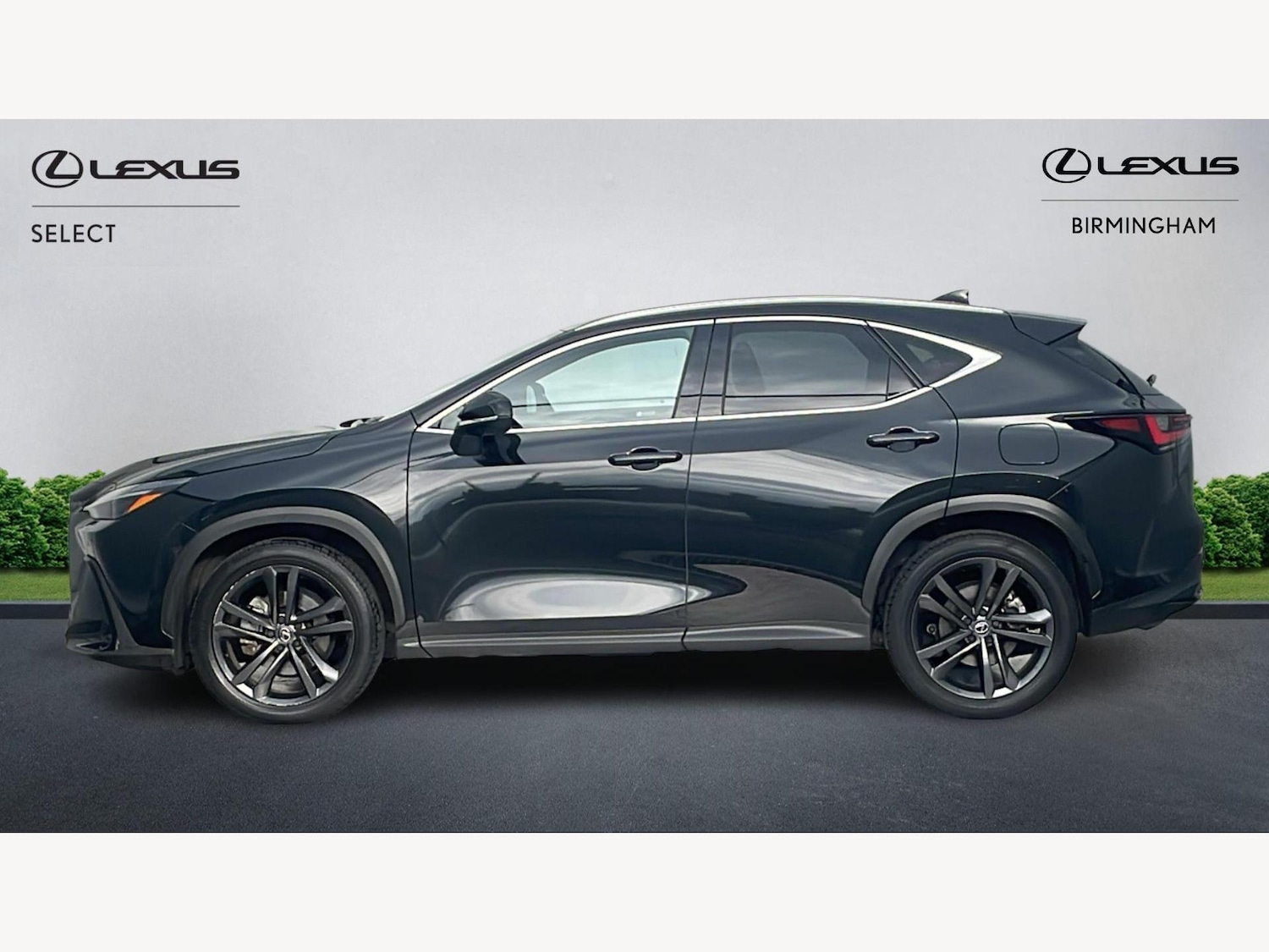 Used Lexus NX 2024 for sale - 77524460: Photo 3