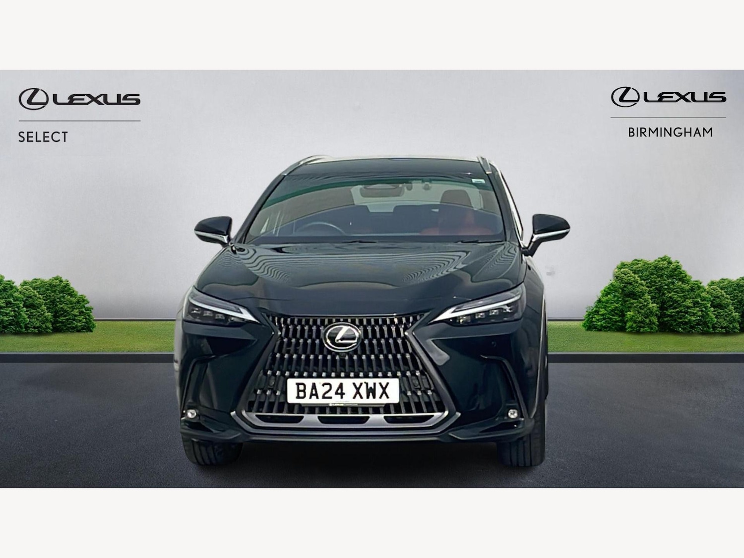 Used Lexus NX 2024 for sale - 77524460: Photo 6
