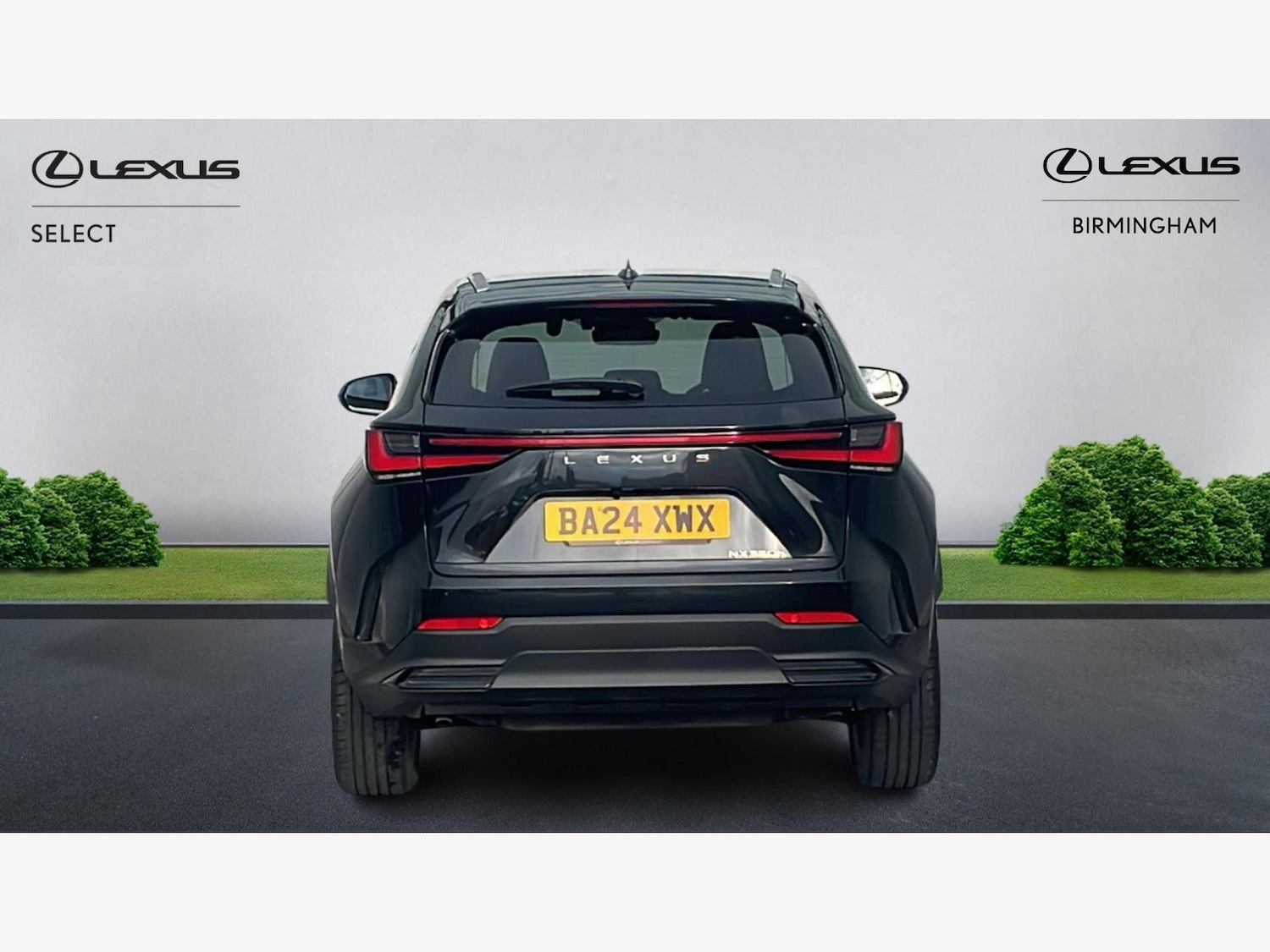 Used Lexus NX 2024 for sale - 77524460: Photo 7