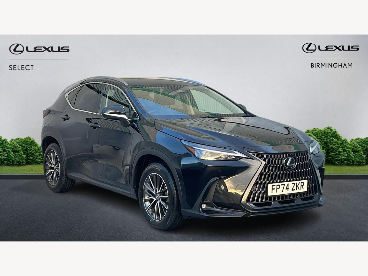 Used Lexus NX 2024 for sale - 77799271: Photo 1