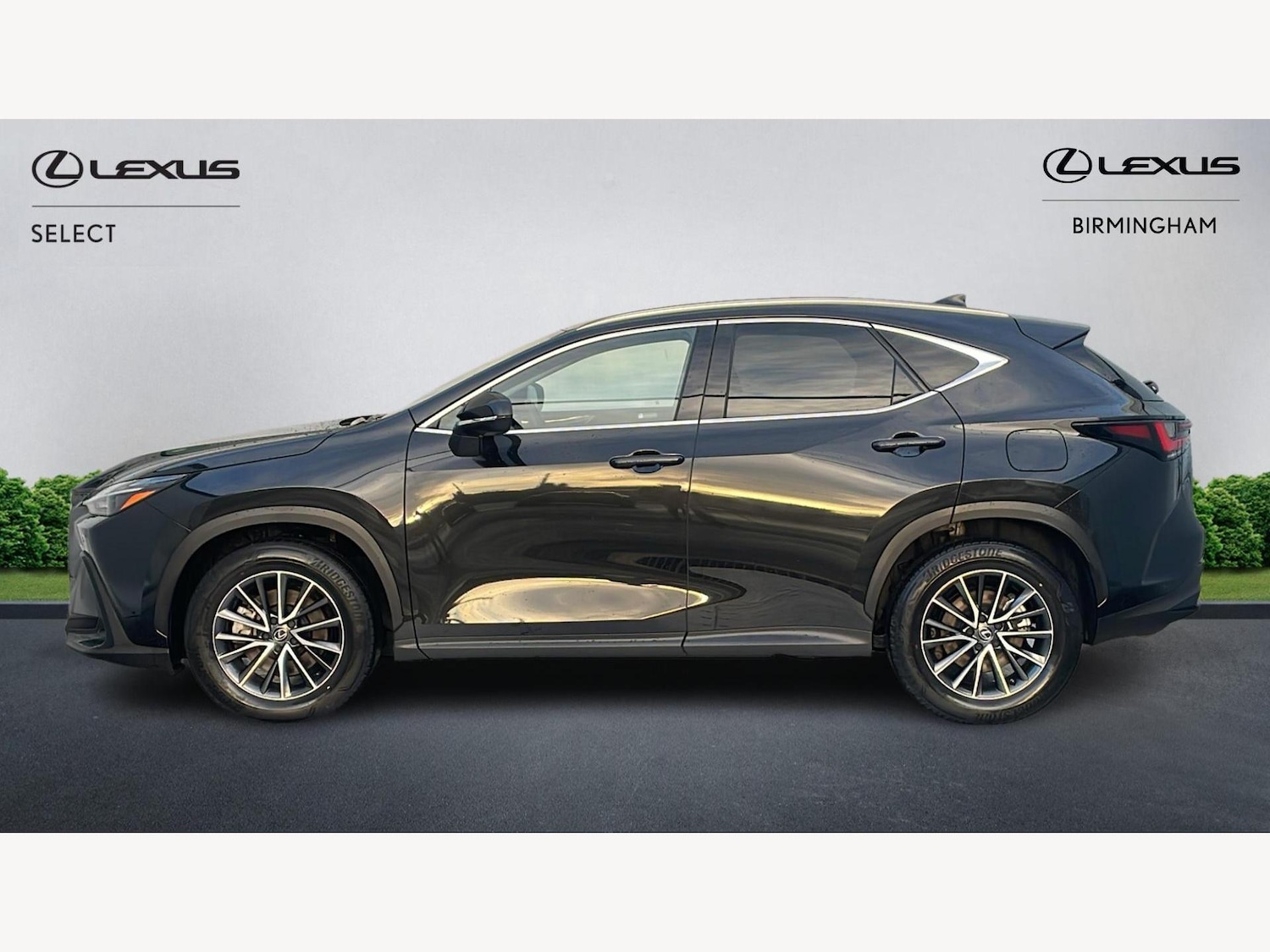Used Lexus NX 2024 for sale - 77799271: Photo 3