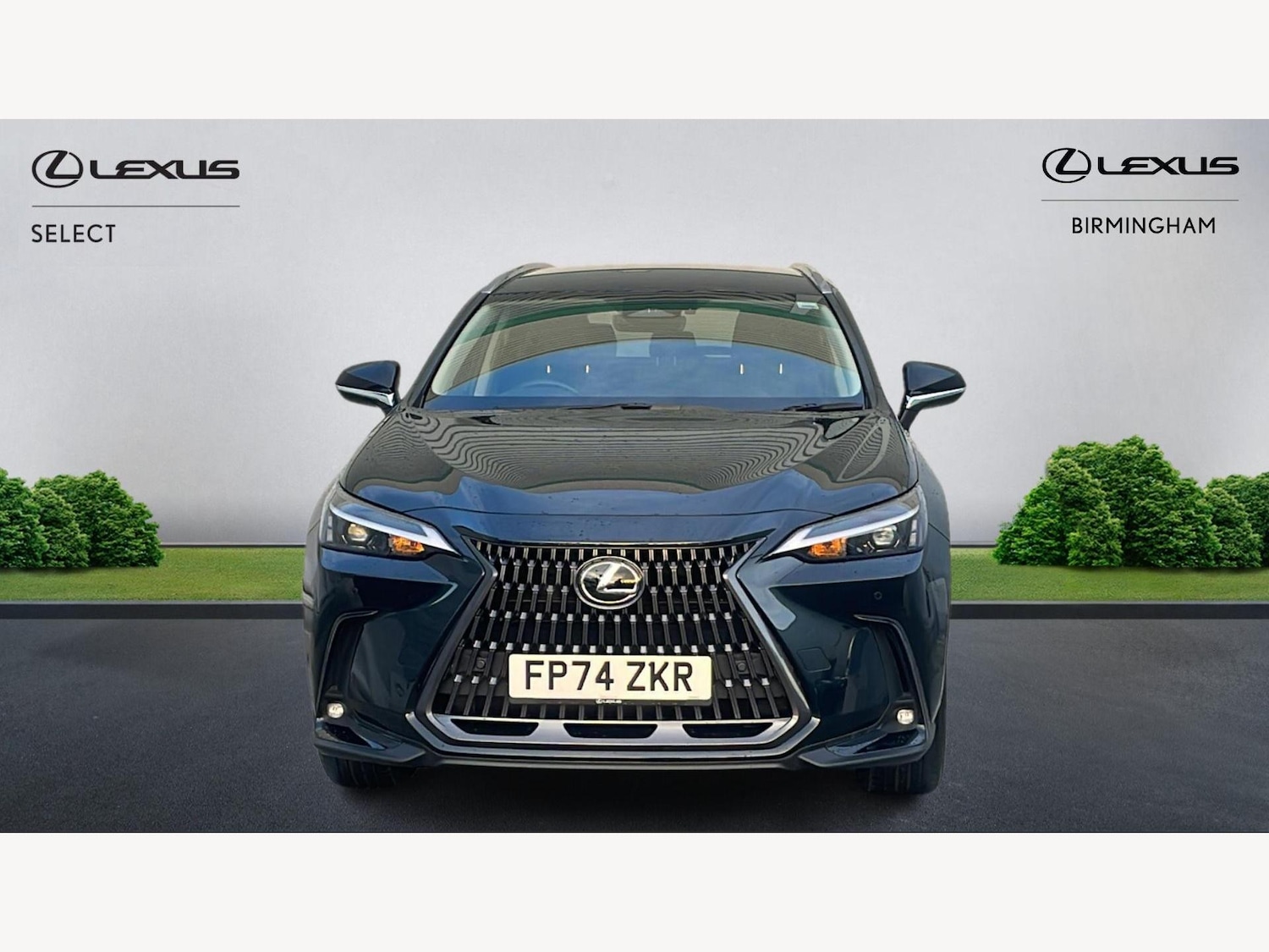 Used Lexus NX 2024 for sale - 77799271: Photo 6