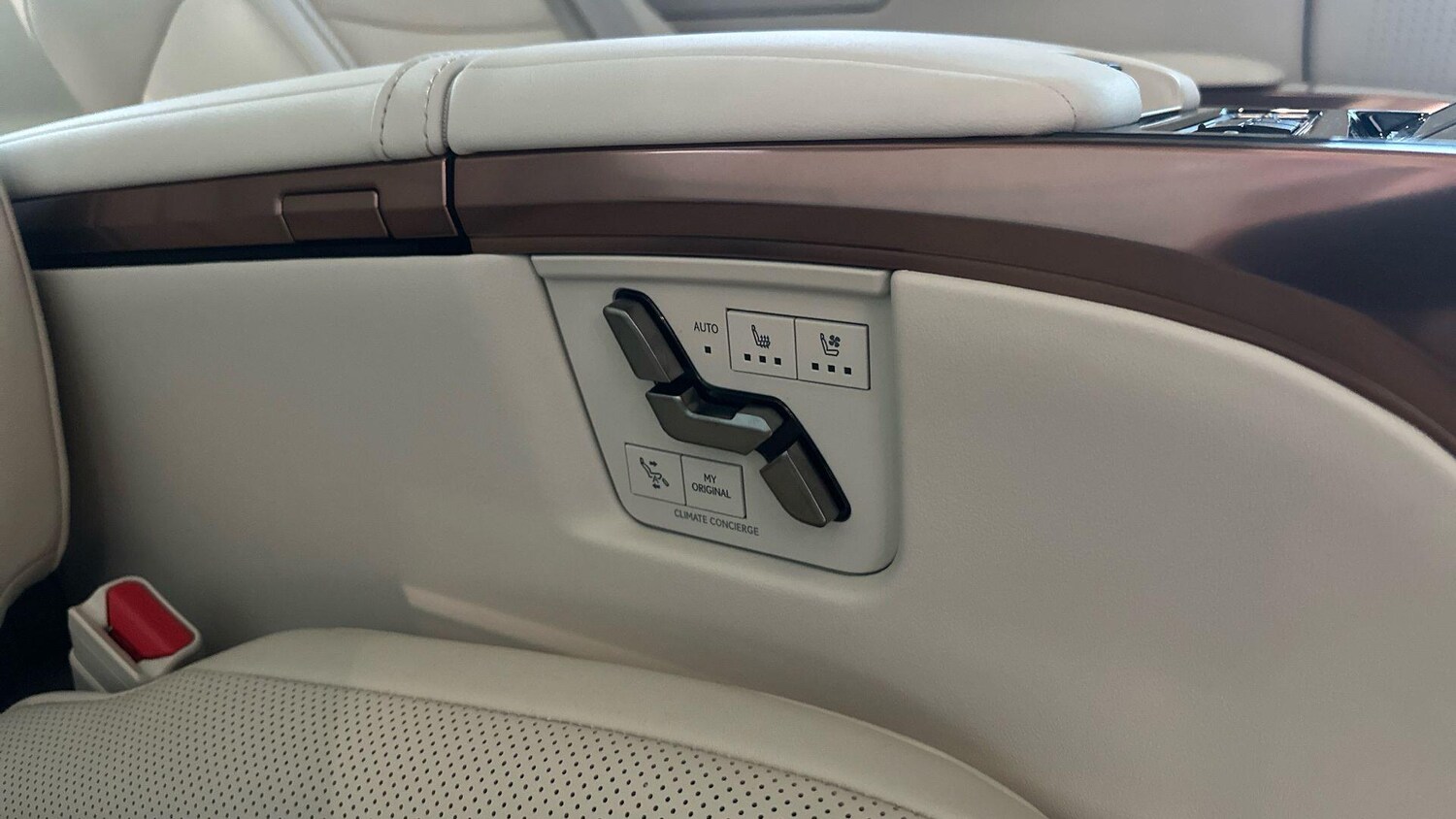 Used Lexus LM for sale - 76592885: Photo 25