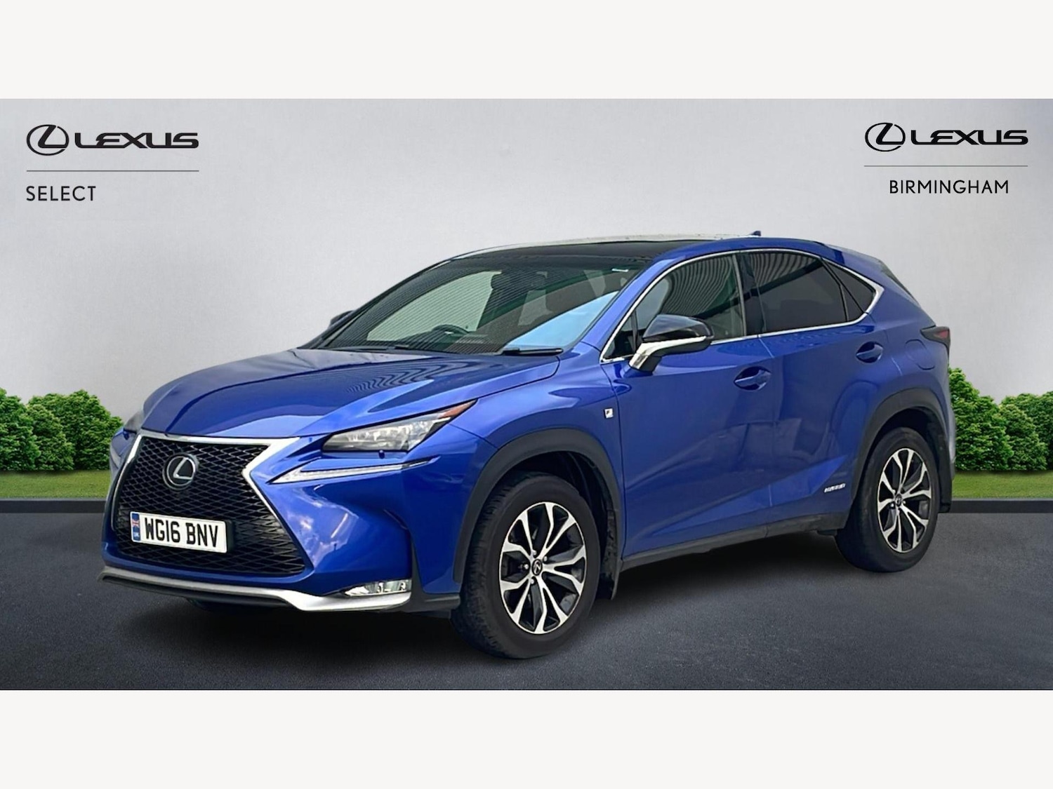 Used Lexus NX 2016 for sale - 77524734: Photo 19
