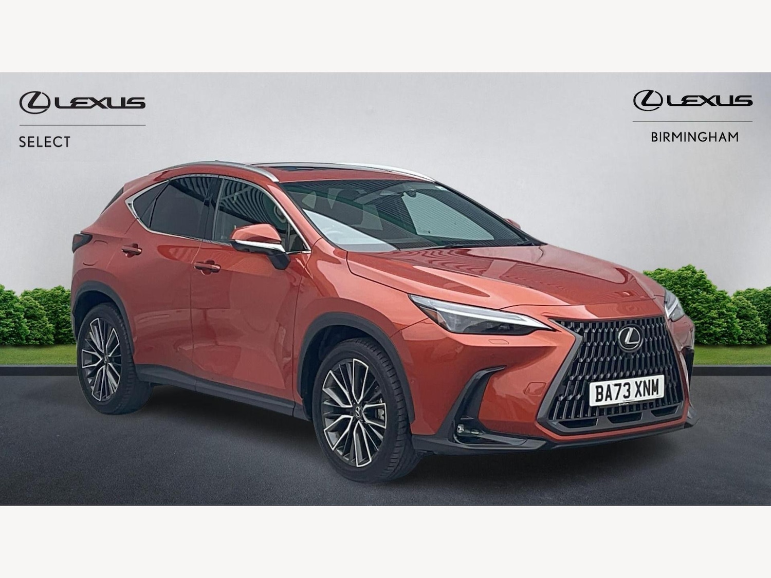 Used Lexus NX 2023 for sale - 77598940: Photo 1