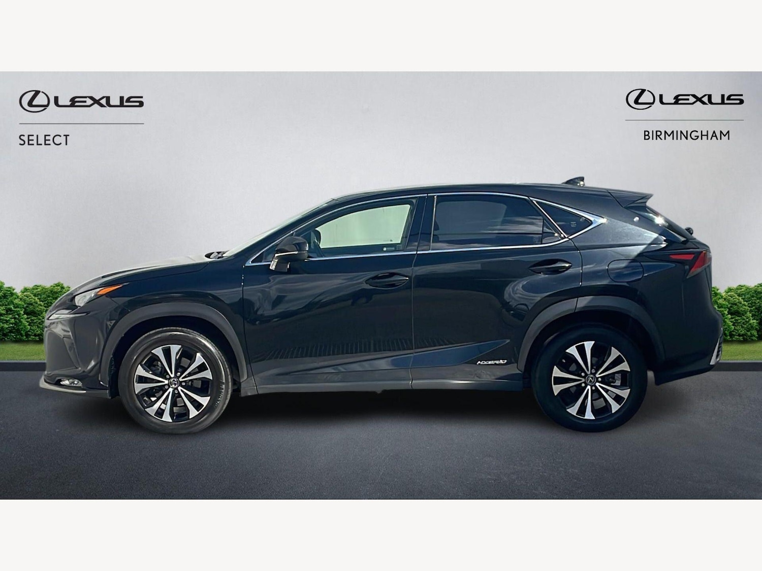 Used Lexus NX 2020 for sale - 78170870: Photo 5