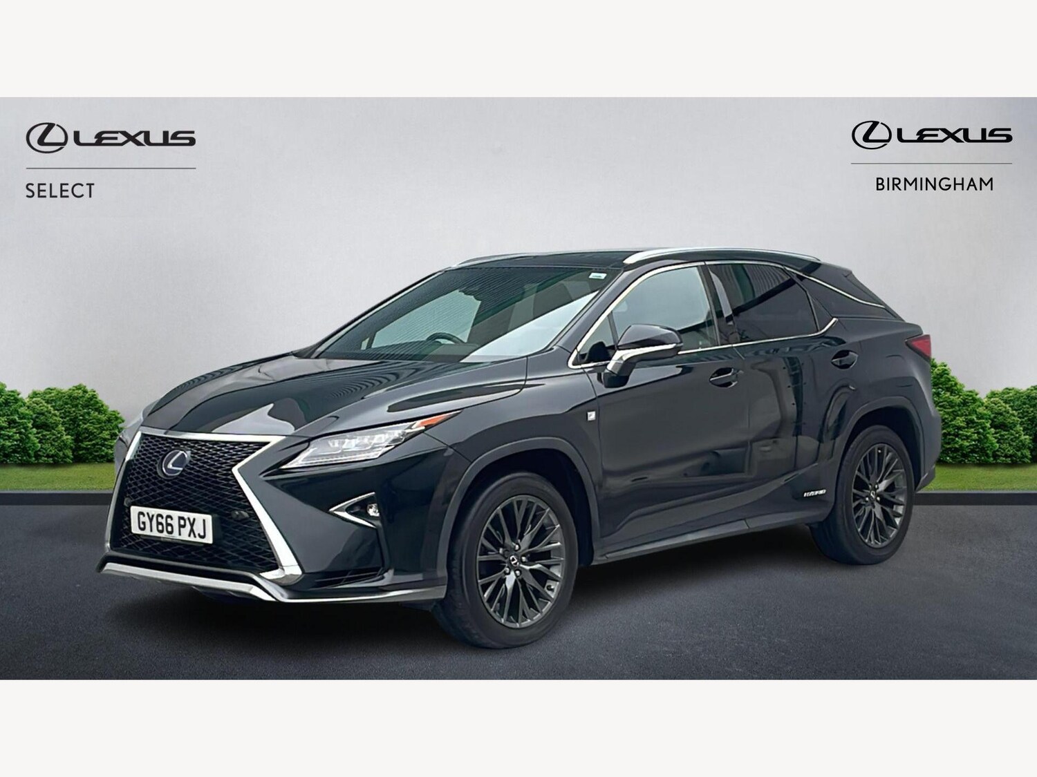 Used Lexus RX 2016 for sale - 77254693: Photo 19